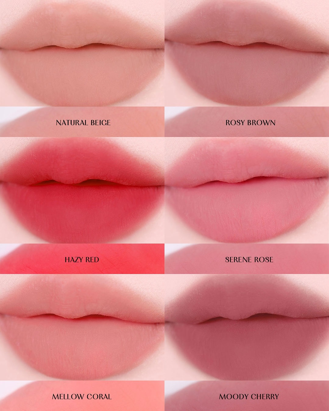 SaveClip.App_574720055_17977145234941666_5383368567324963567_n