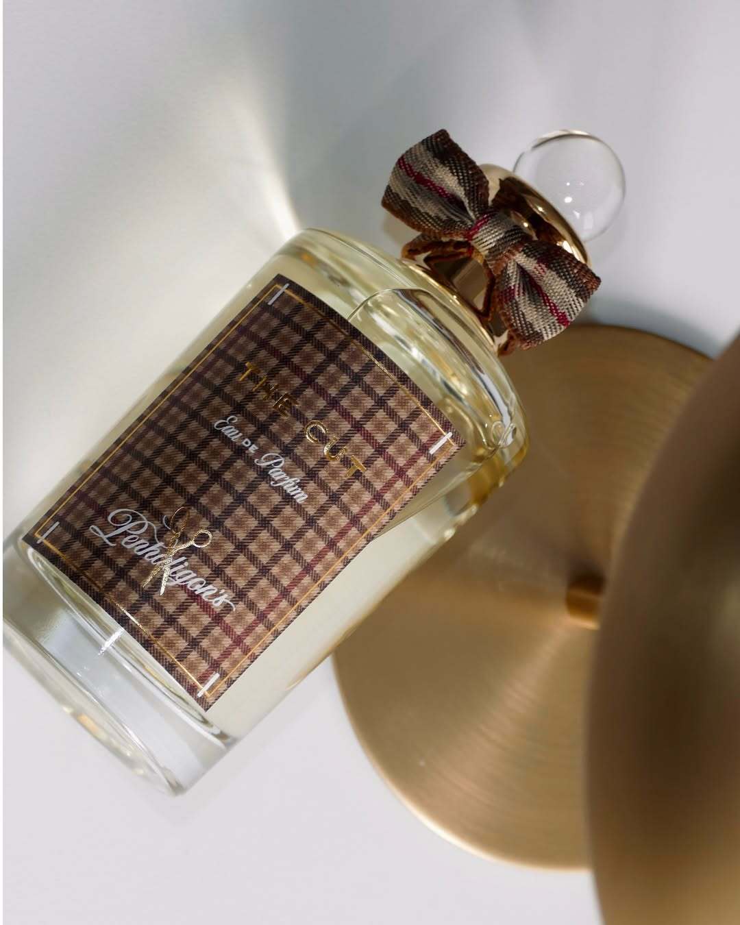 SaveClip.App_558882597_18528221698051690_5472135524675398550_n