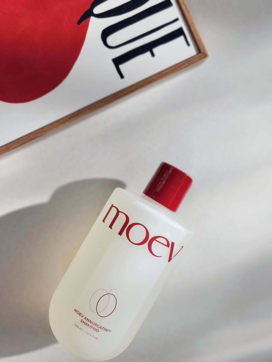 SaveClip.App_553366328_18506048986066282_1896873357009643605_n