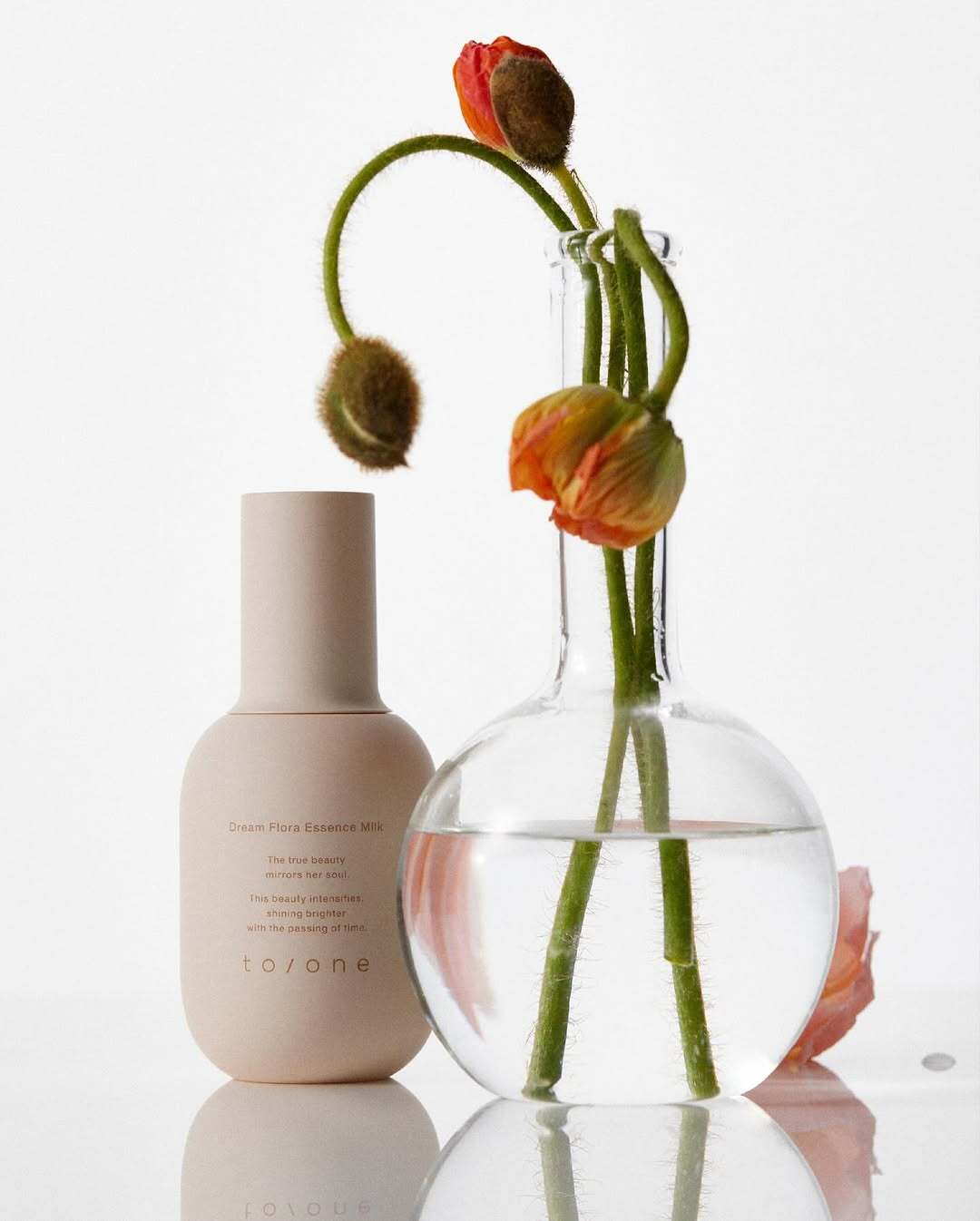 SaveClip.App_560501325_18323697433214861_5310448053552700919_n