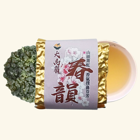 大禹嶺96