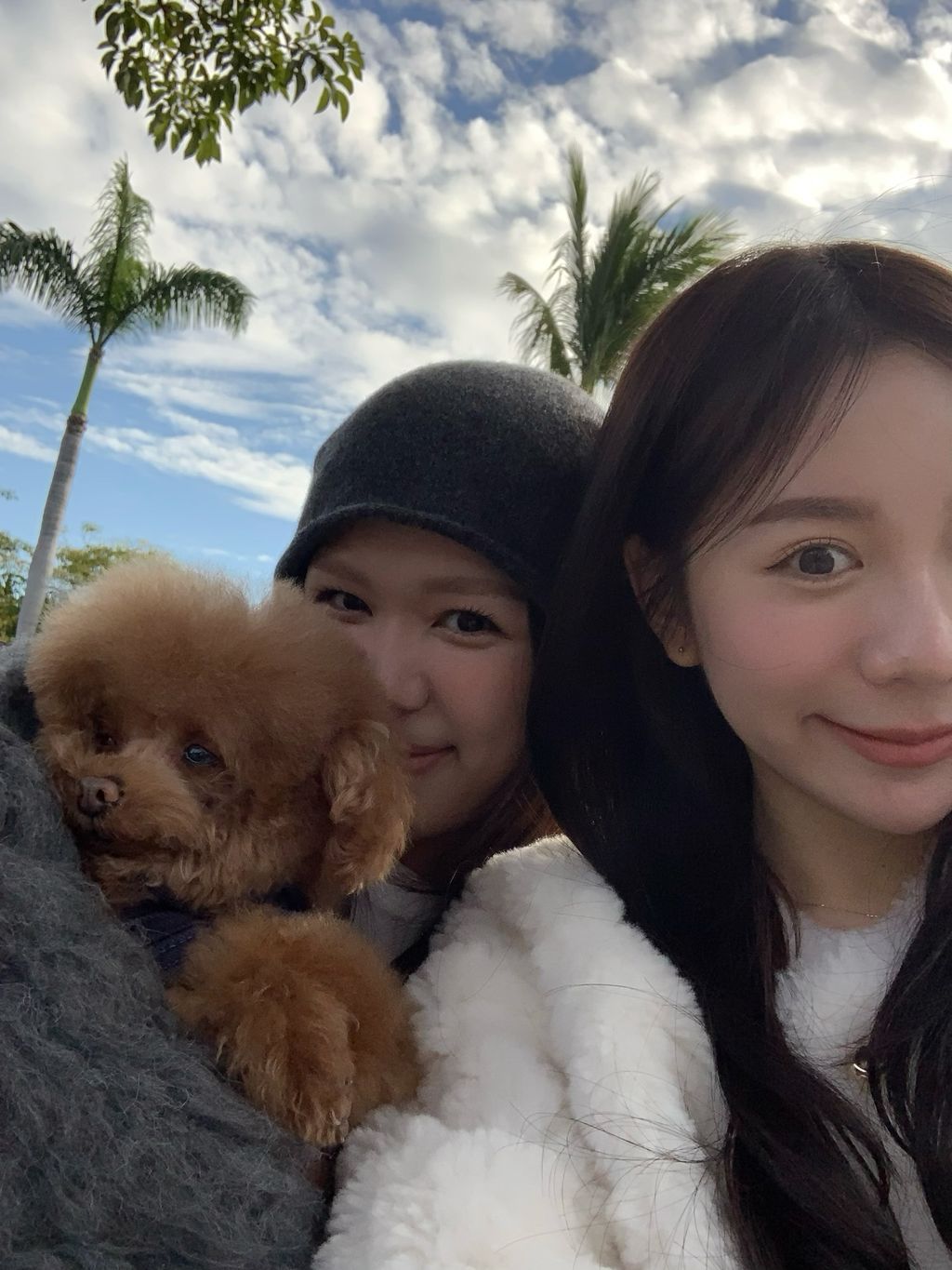 image_F7C93AF2-CC04-465C-8FFB-E8789497BE86_1767954954