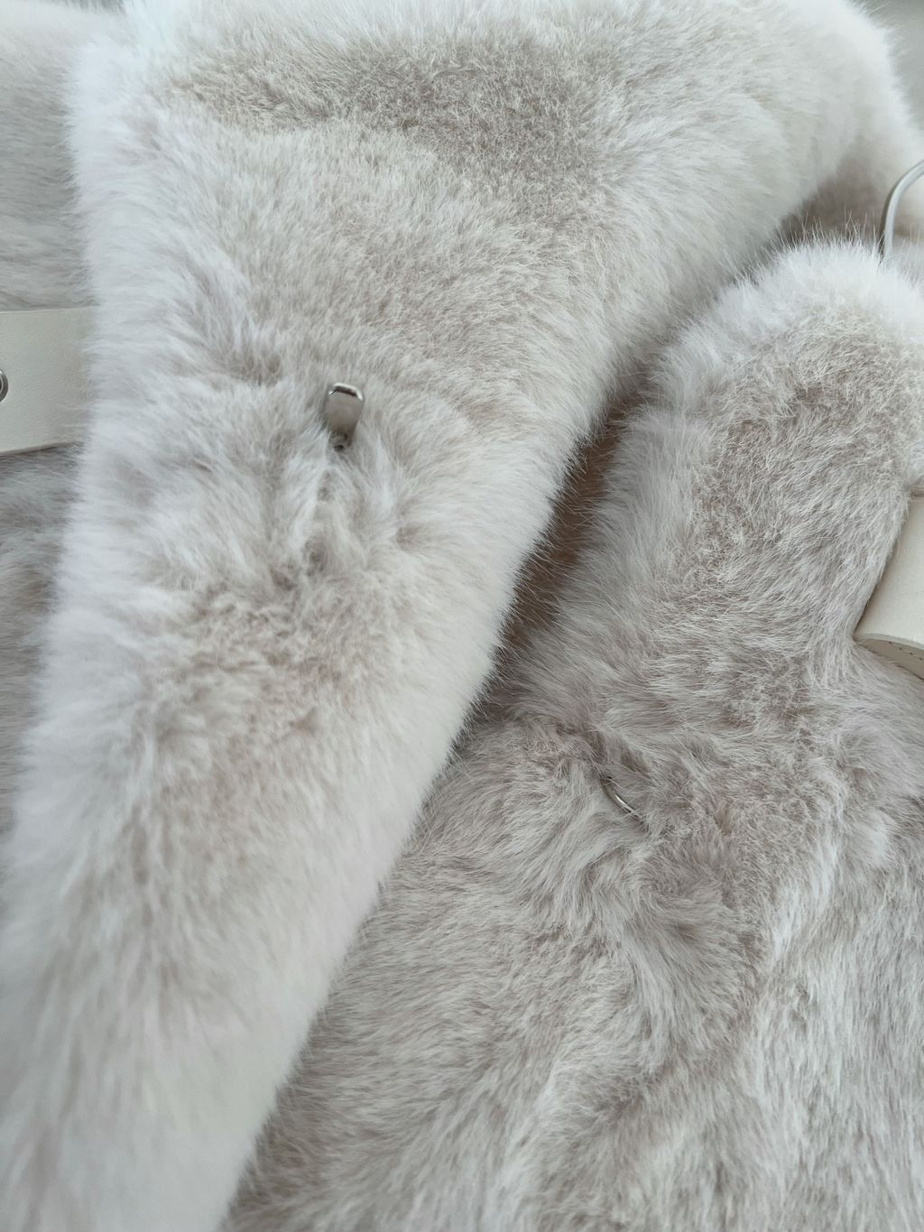 image_33826C66-9593-4902-B125-B8E0F1B8CCE4_1769080921