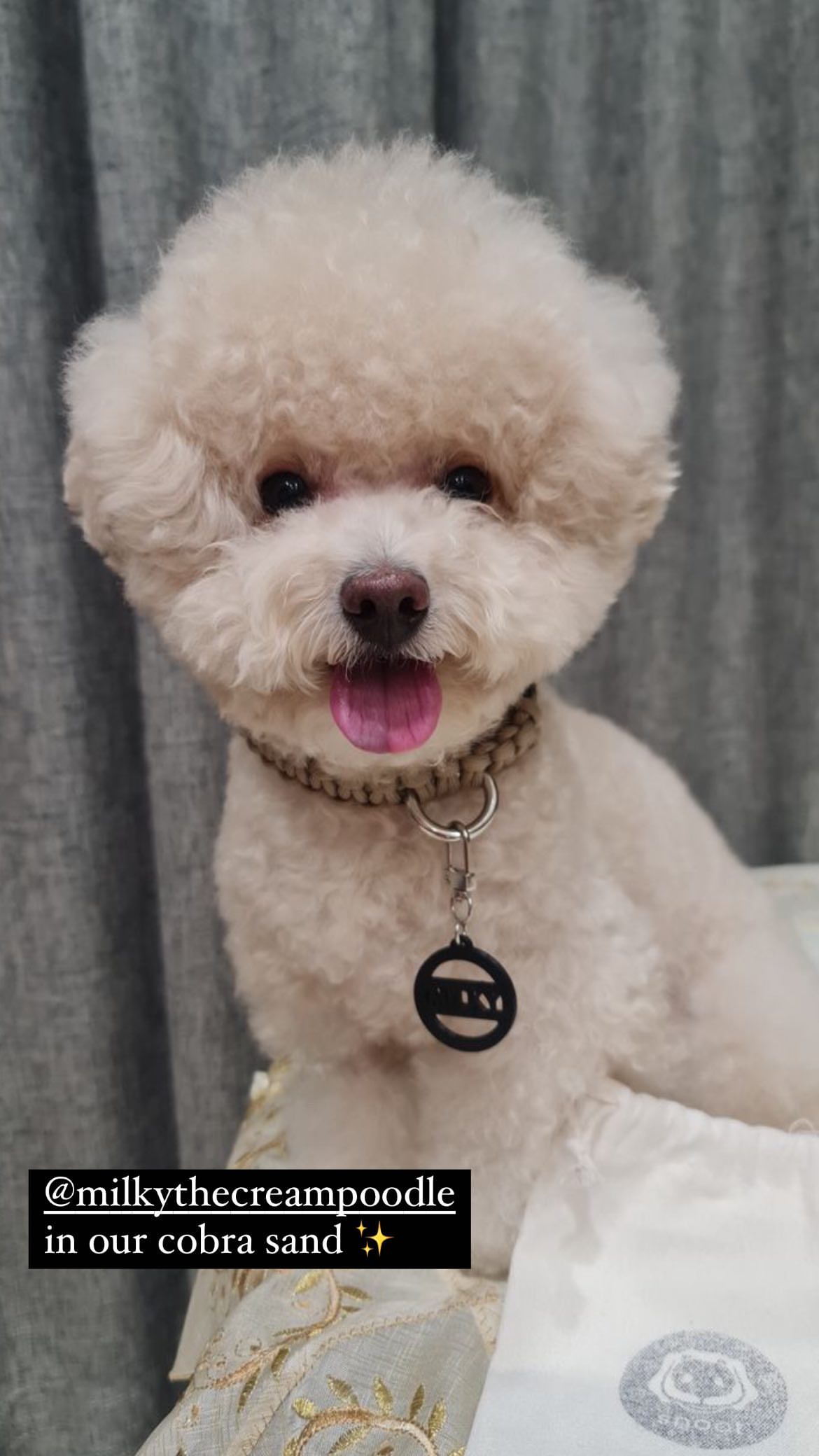 308655877_752790419149267_2838126494170895377_n