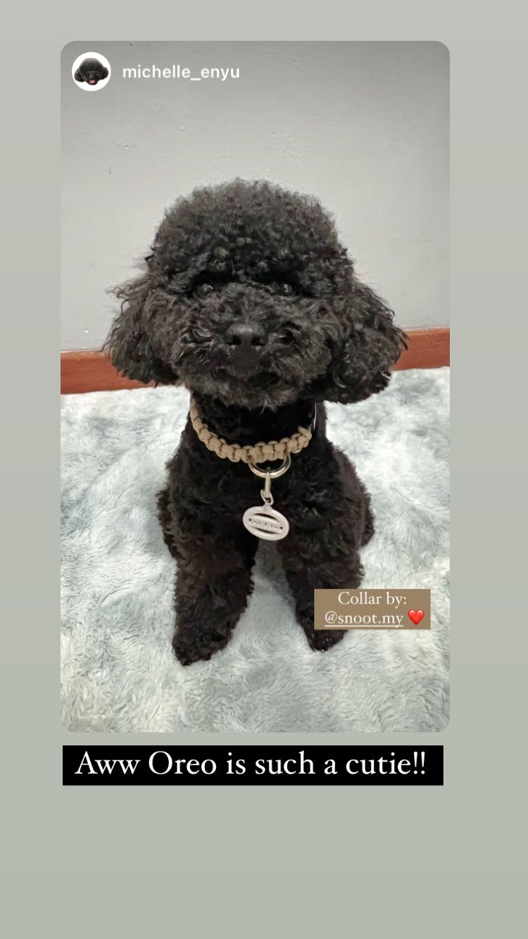 310044965_1562404007552303_8949667436363340682_n