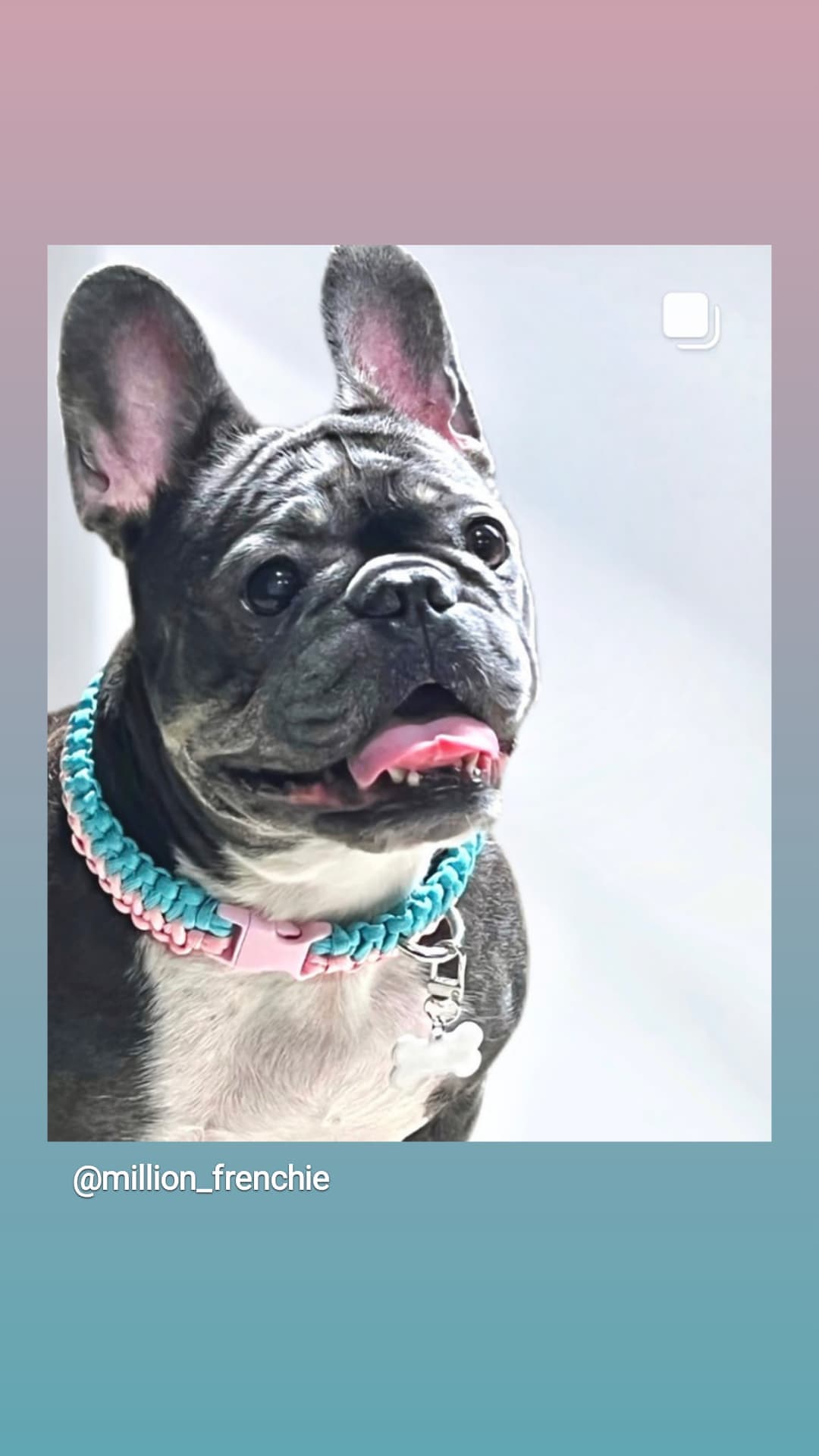 313843507_203029332098414_7004831137577130019_n