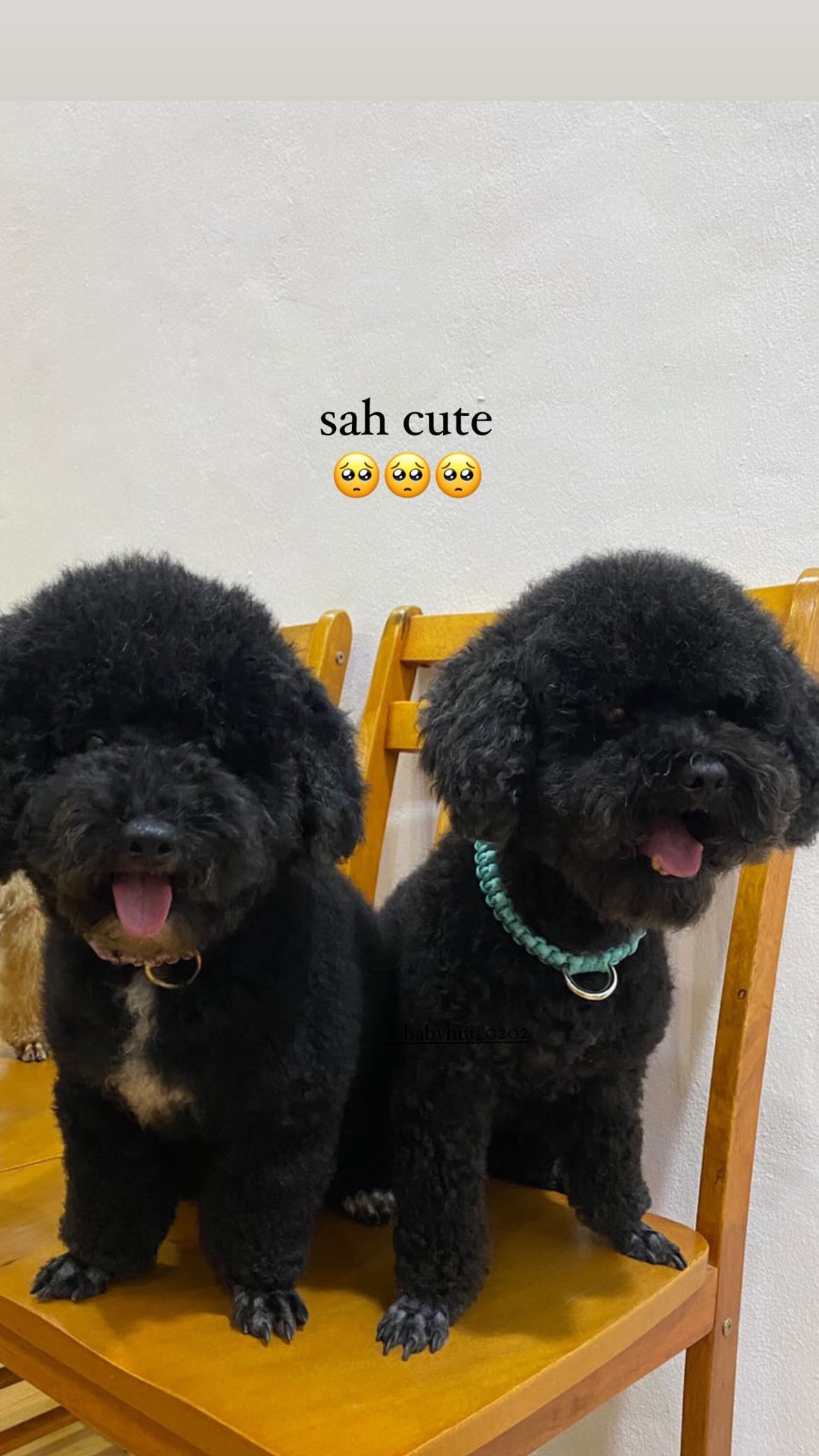 312665423_795680551490263_7037239379355197049_n