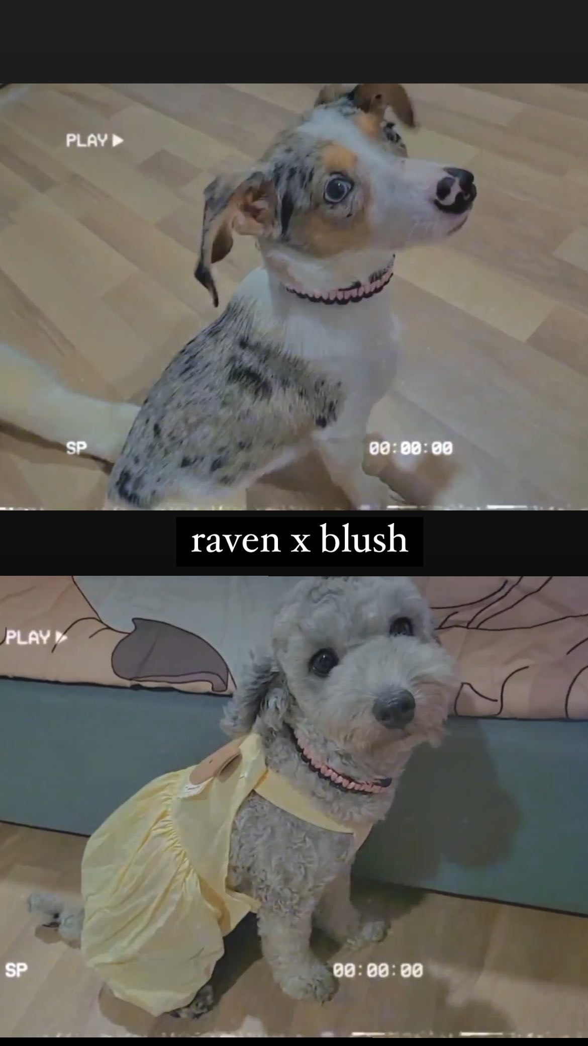 312983572_3439899519668792_3018562314413274502_n