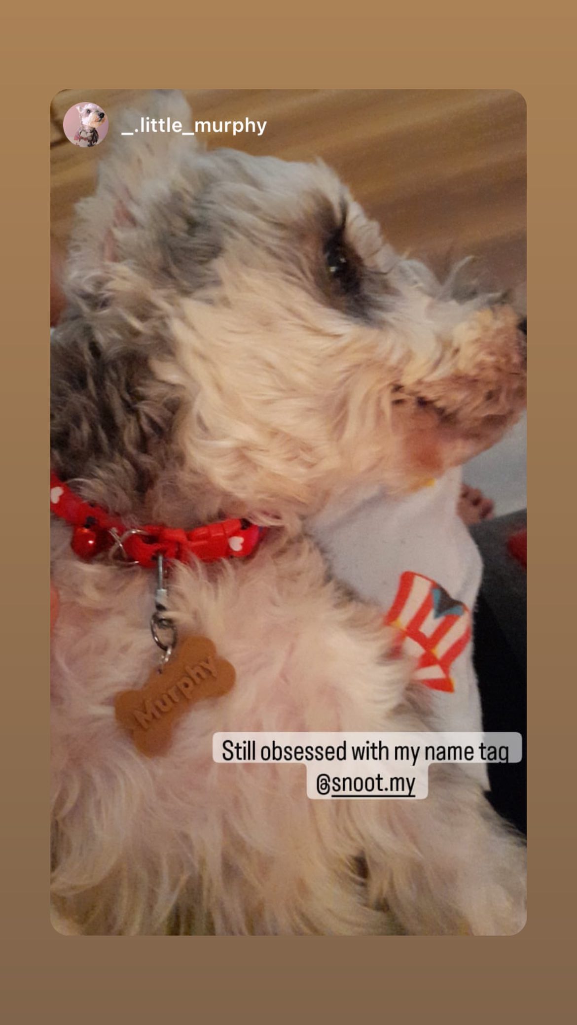 315752664_2667029370100367_6298523784328594404_n