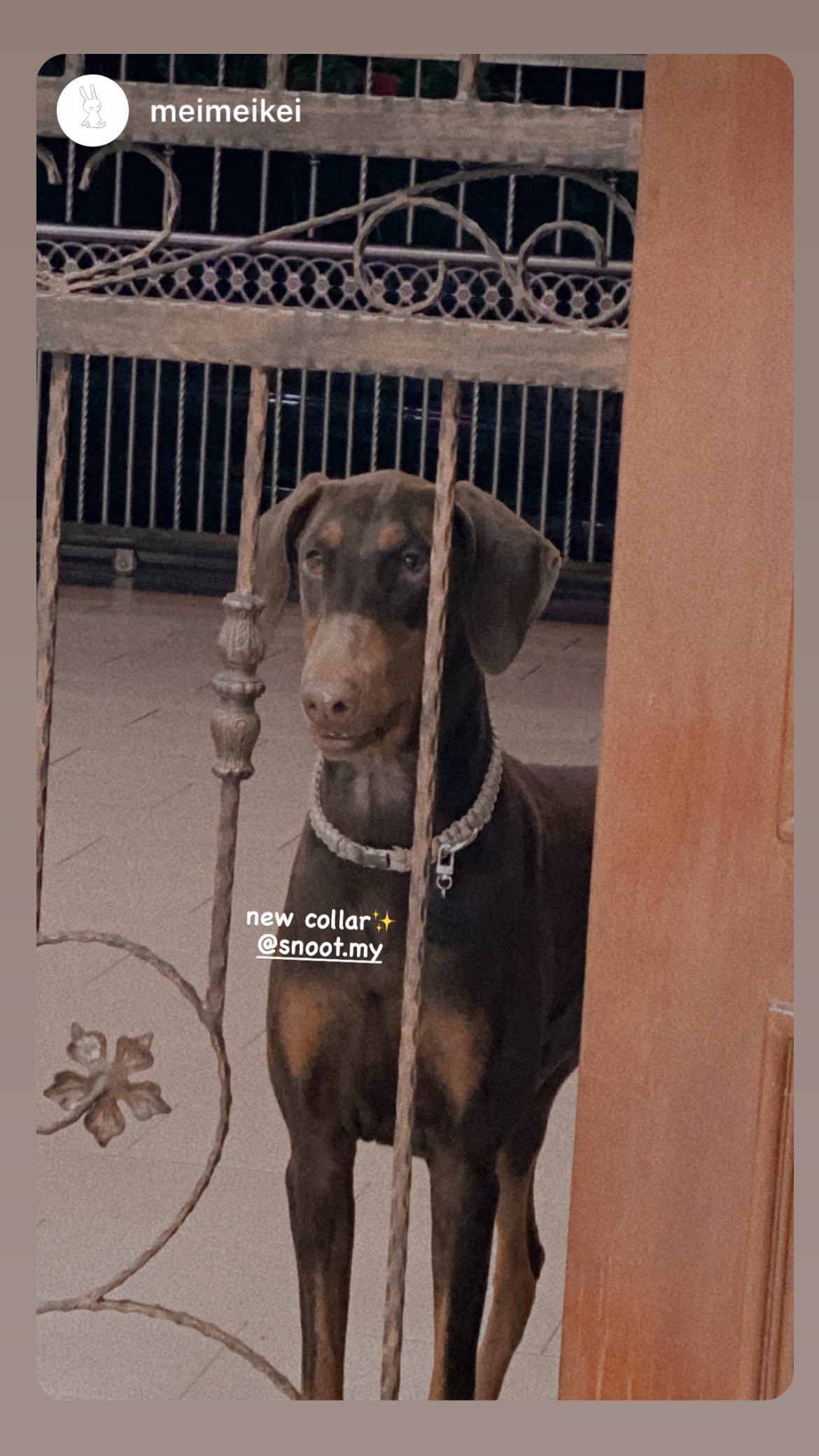 311113842_117893577737599_8356713292680074272_n