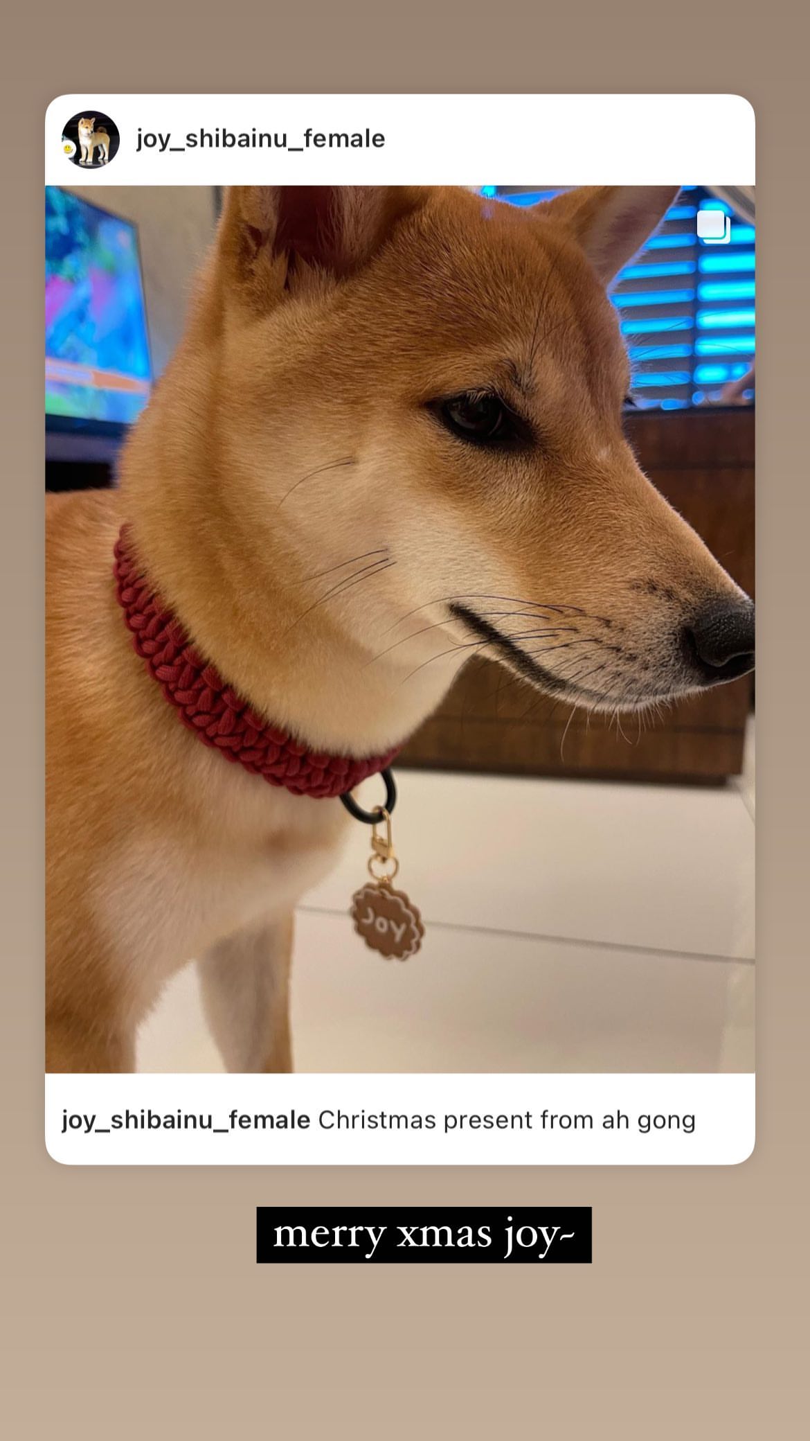 321522320_2539706206167393_1758767379238861647_n