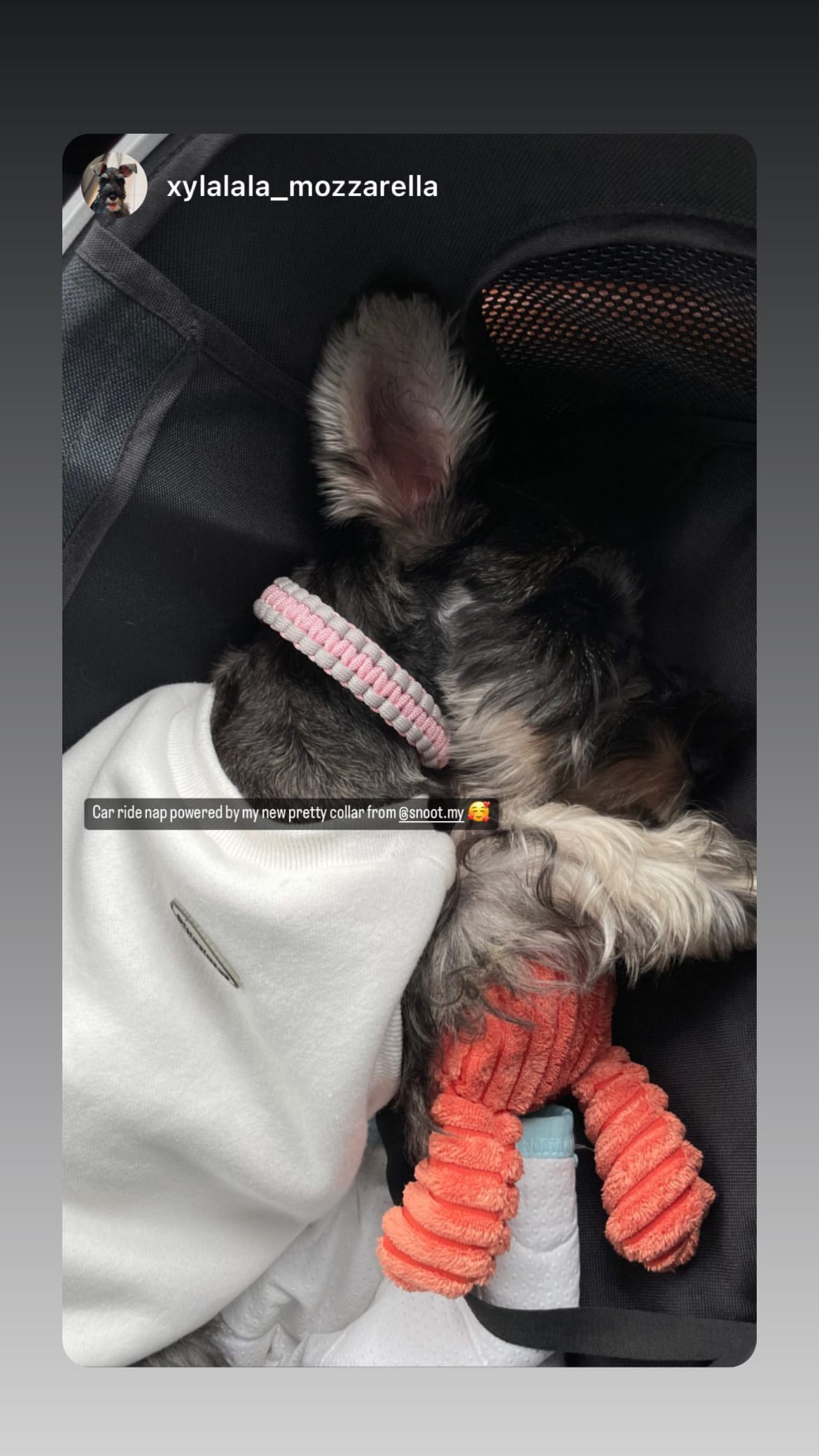 315777221_471734361614105_484755553506673743_n