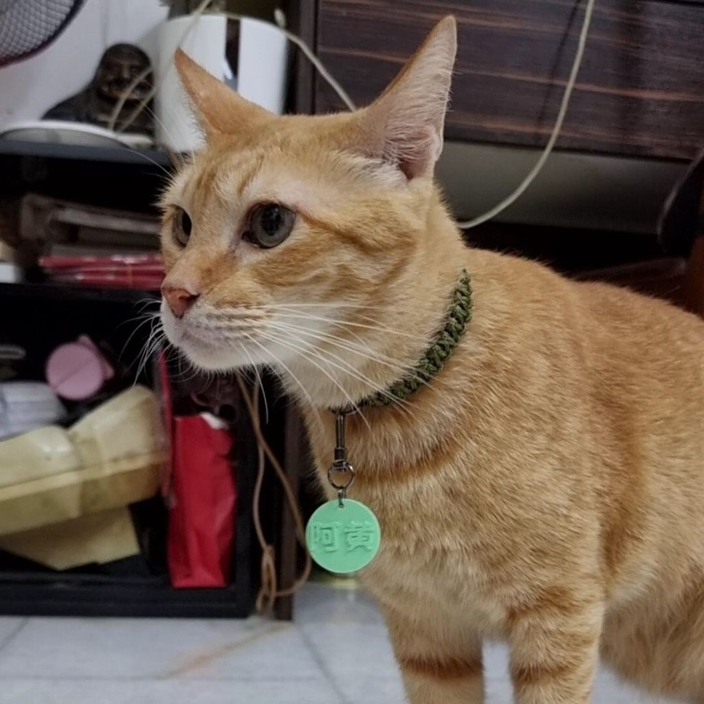 VideoCapture_20230302-164602