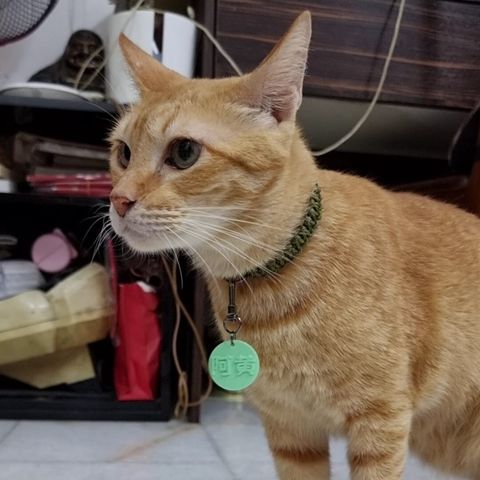 VideoCapture_20230302-164602