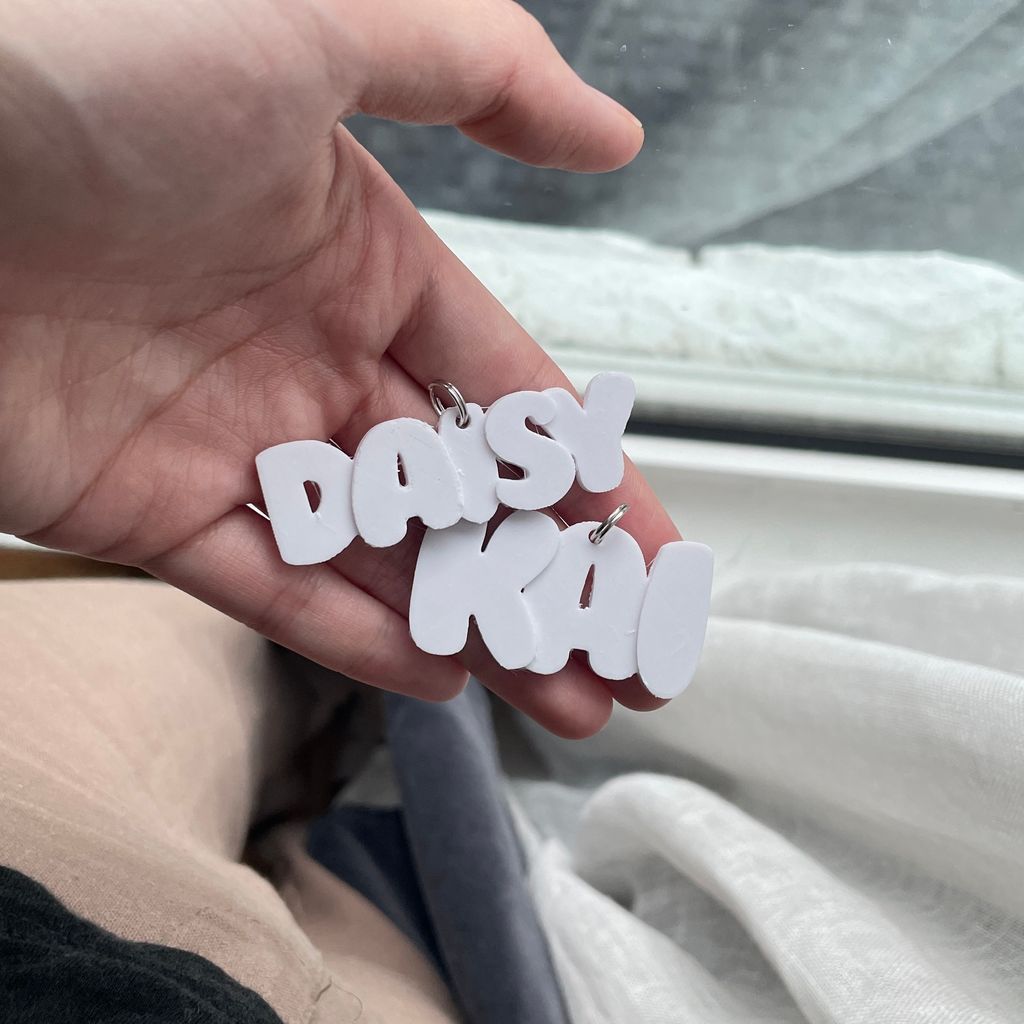 White Chunky customised pet tags