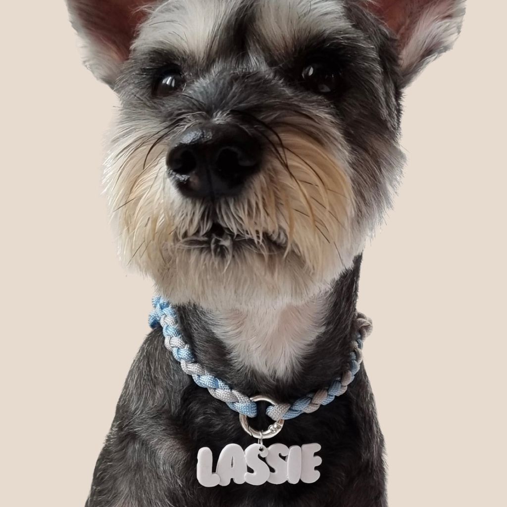 3B544654-0CF0-465A-A615-7C7DF1E383E7 2