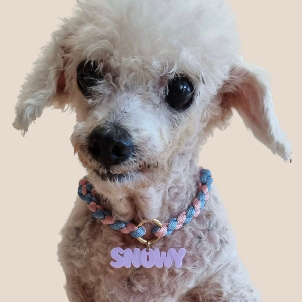 AE81B9AA-AD74-42F4-A695-4247028A238D 2