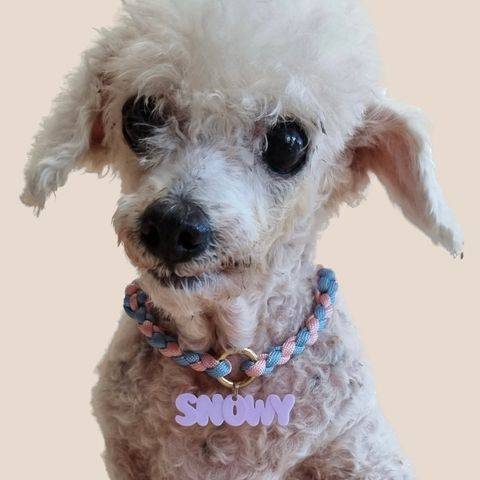 AE81B9AA-AD74-42F4-A695-4247028A238D 2