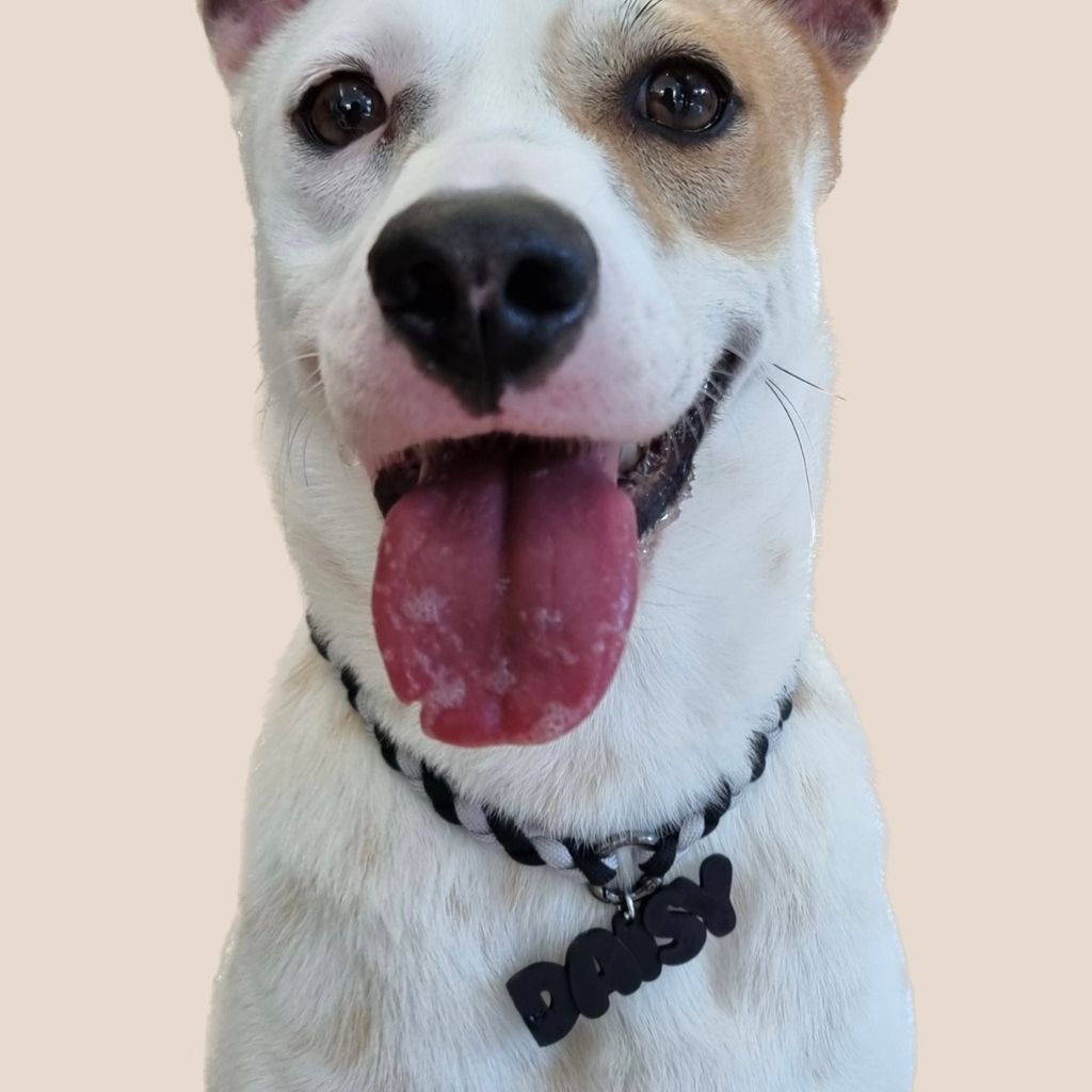 6DC1F3C9-7CB3-4446-BE89-99DB92F7F35D 2