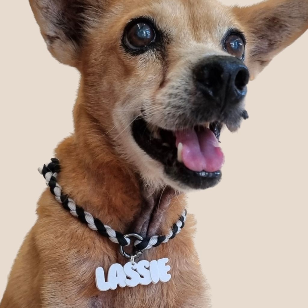 0135C1A6-4859-416B-BBF0-AF56A03382BF 2