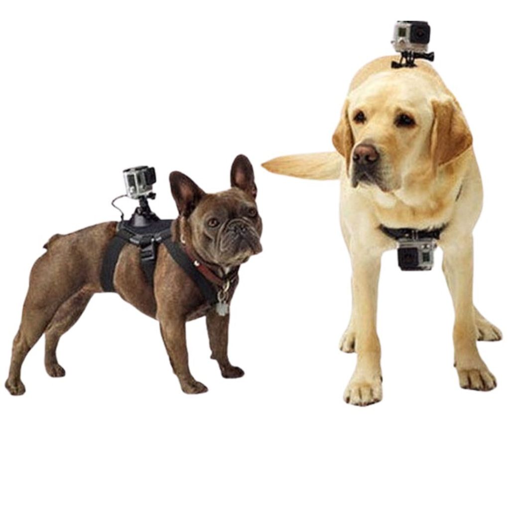 寵物運動相機胸帶 運動相機配件 gopro狗帶  犬背帶 兼容SJ4000小蟻 dji