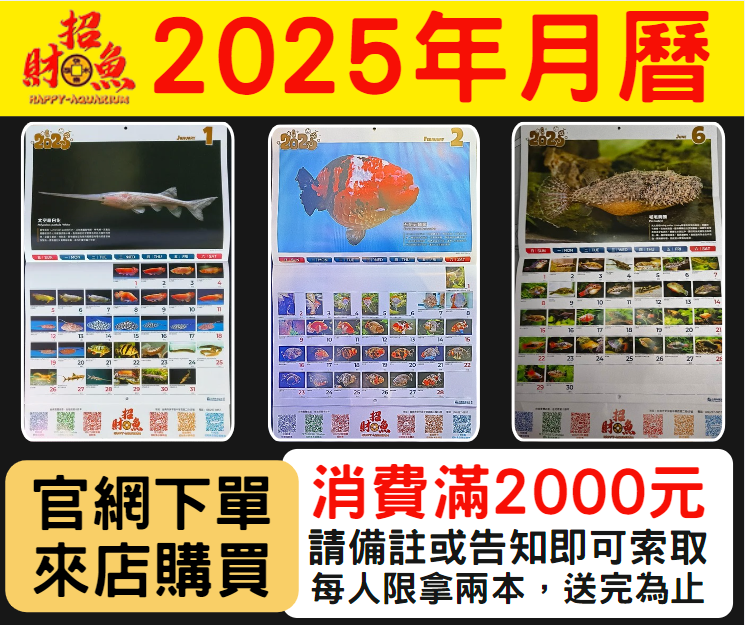 螢幕擷取畫面 2024-11-21 221309