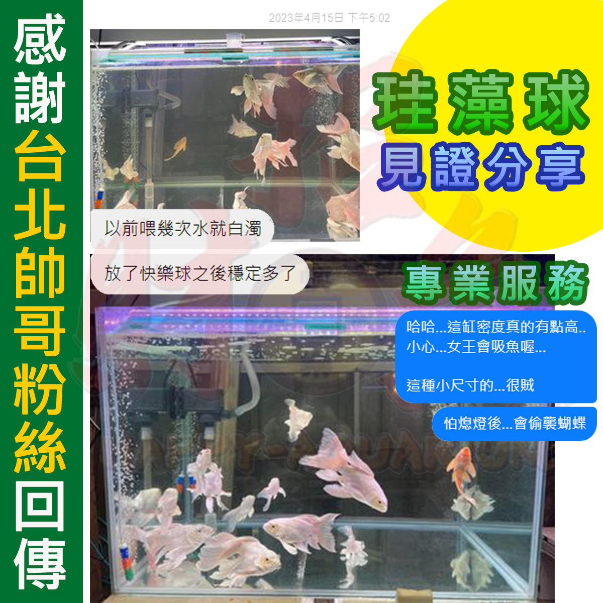 202307415-第二代珪藻球 FB：洪國