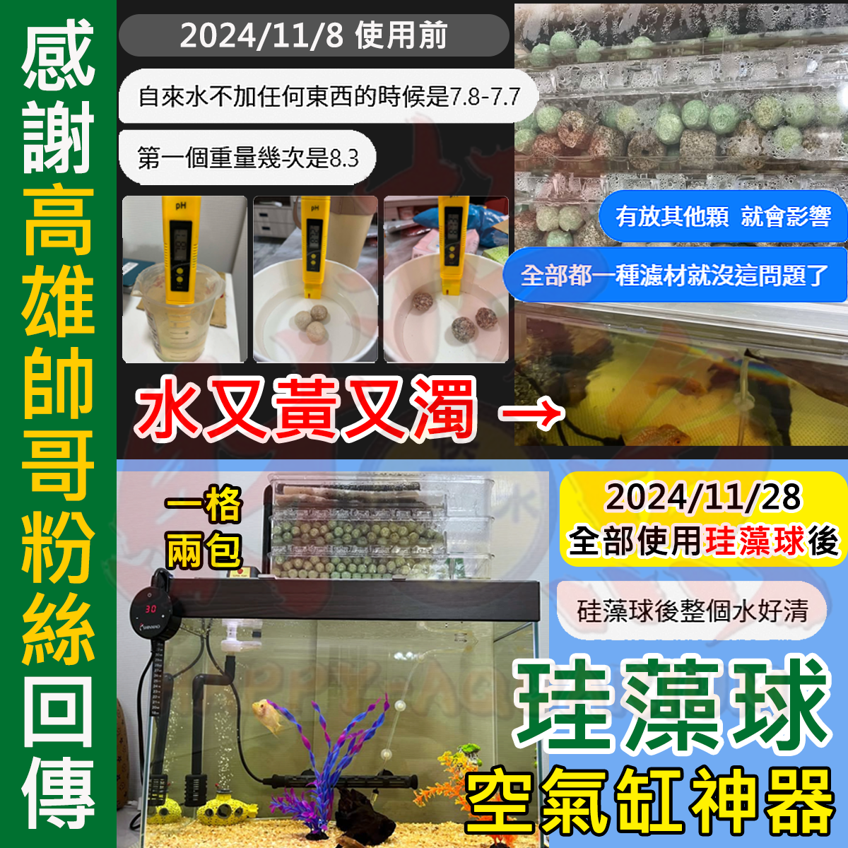 20241128-第二代珪藻球 FB：洪承廷