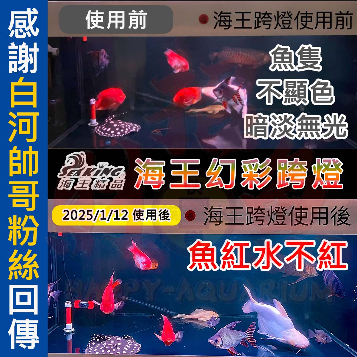 20250112-海王幻彩跨燈FB：吳昭賢