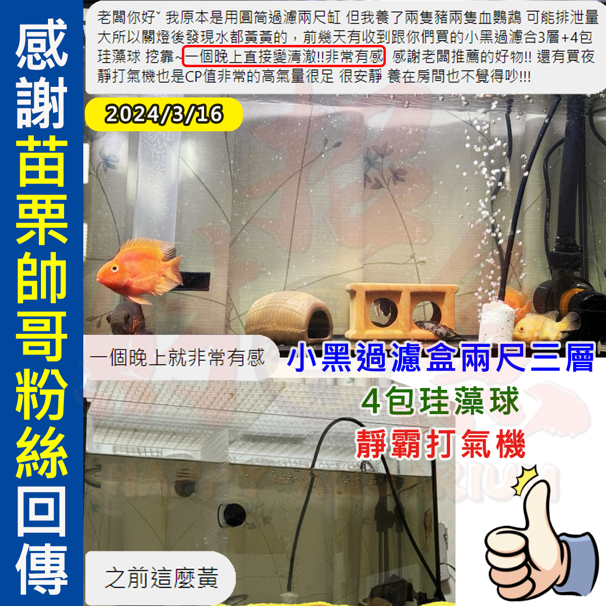 20240316-小黑2尺 FB：陳冠穎