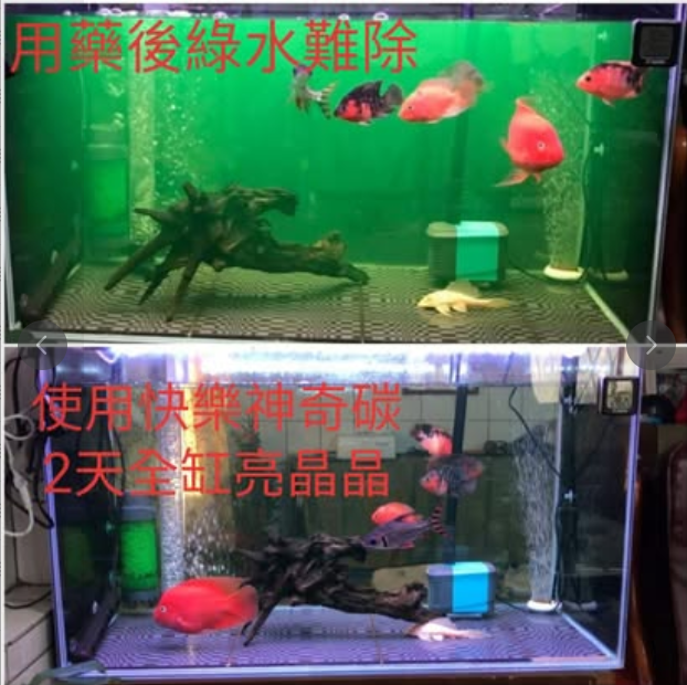 螢幕擷取畫面 2026-04-03 235315