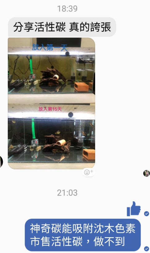 螢幕擷取畫面 2026-04-03 235655