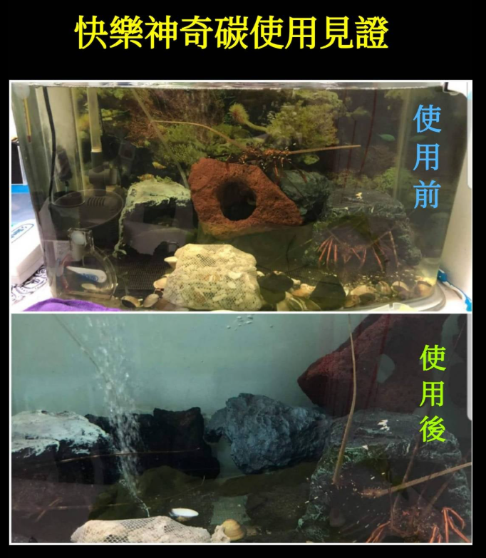 螢幕擷取畫面 2026-04-03 235704