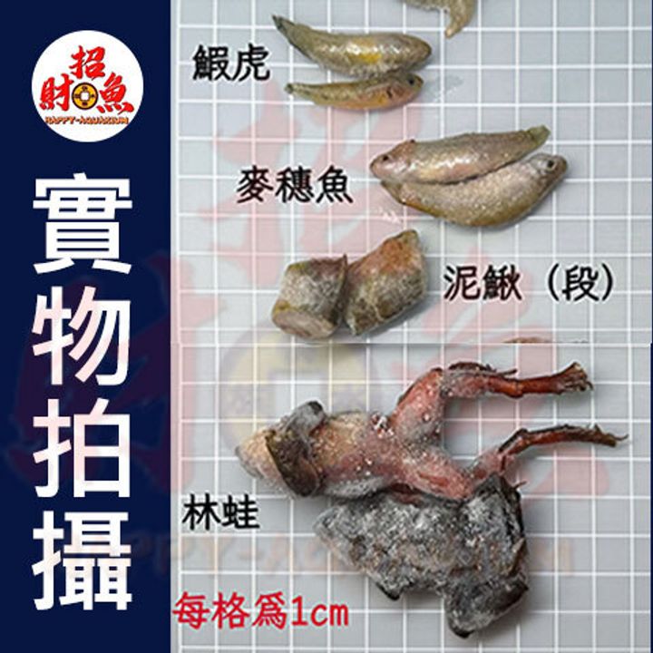 4164-伯洋冷凍餌料-實物拍攝