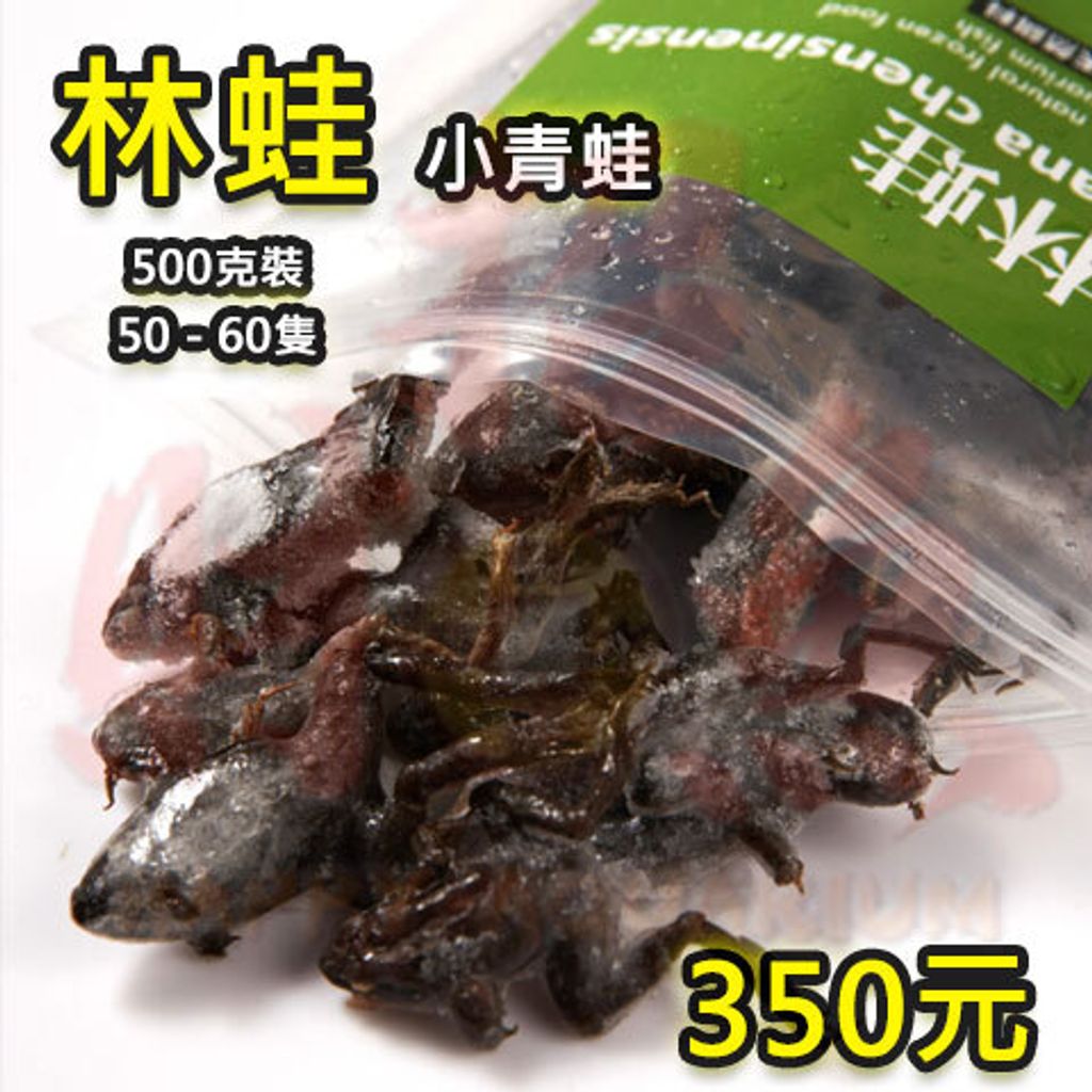 4164-伯洋冷凍餌料-林蛙