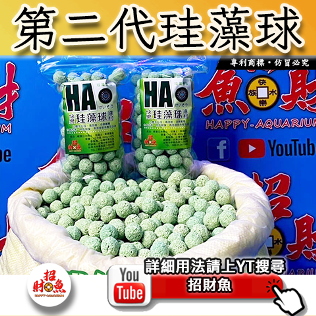480x480-第二代珪藻球