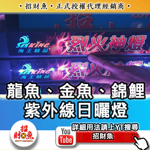 480x480-海王精品-烈火神燈-1