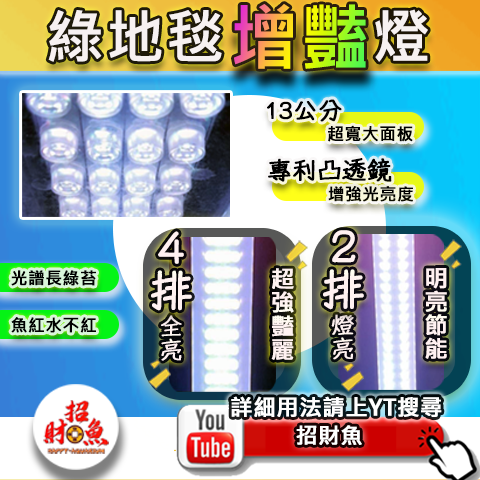 05-綠地毯增豔燈-1