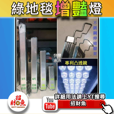 05-綠地毯增豔燈-2