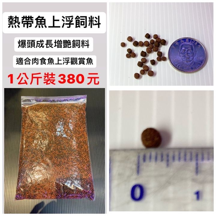 sg-11134201-22120-rkzyy5kg1jkv39