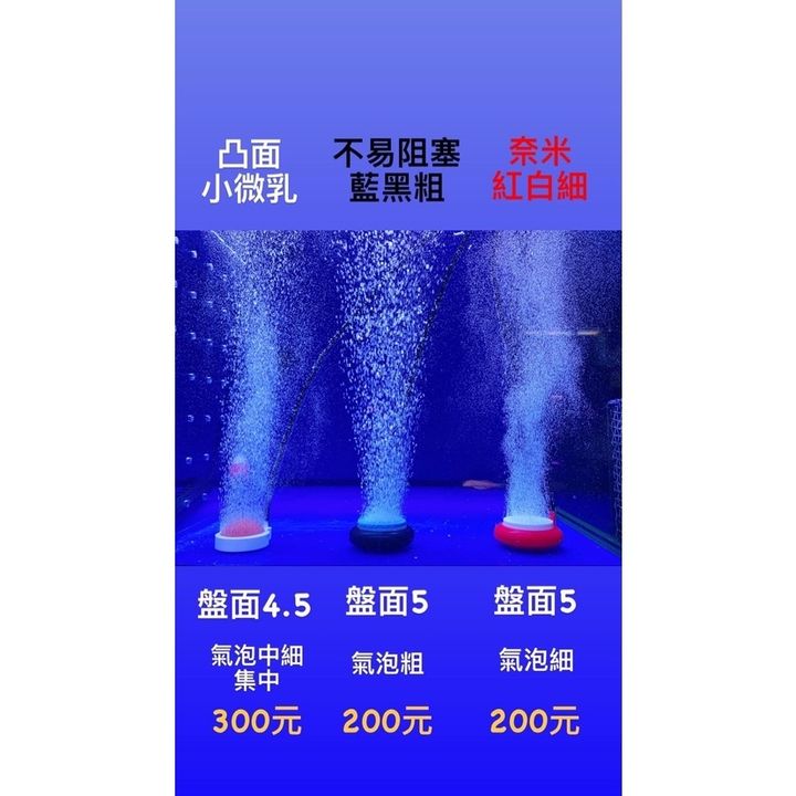 79791be73bf5ba2166cbad7596b92e13