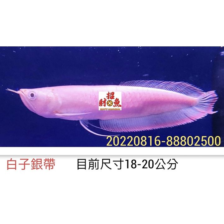 ca1112466ca6e135b1ab4c97df8cdca4