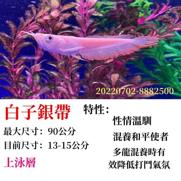 adb236a1c8ce078082f76e74bce7ba06