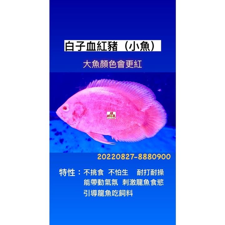 0746a2f2b09cd3b21db5f60aa0270dea