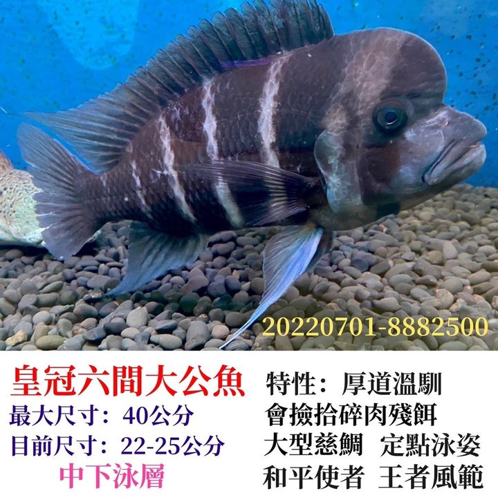 74a2835b8b5f90455bb7c532592b4a93