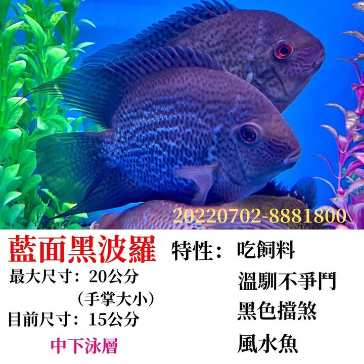 2719db06f0368ea779716b7915fa85ec