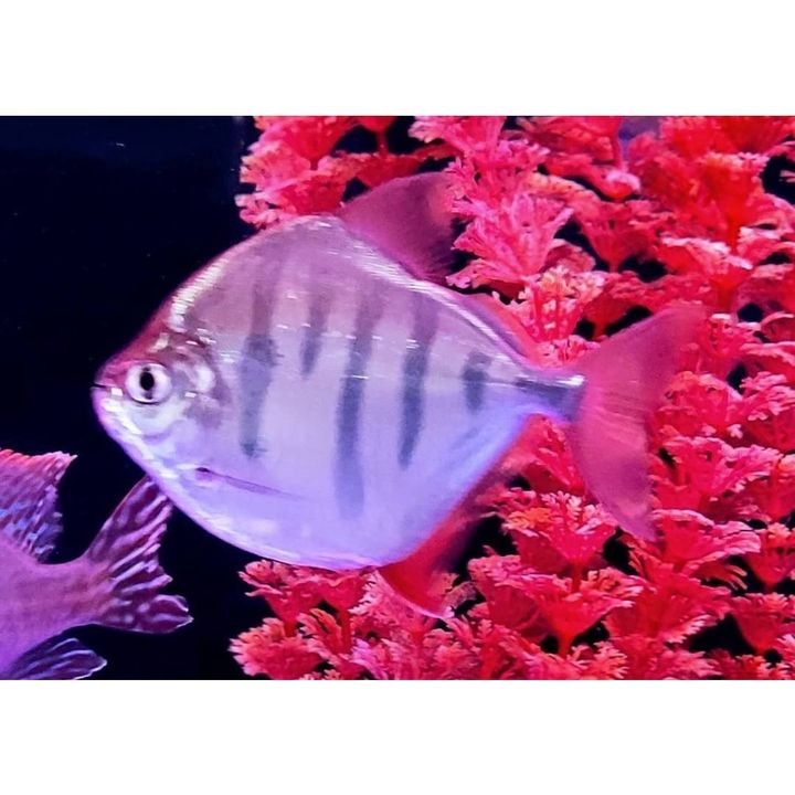 c3944c0de183b75d02a03ab2640d9f3d