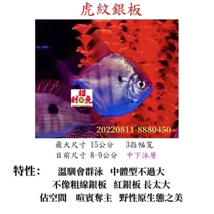 bd0895a1d84fc83caa4a41dfc8556a38
