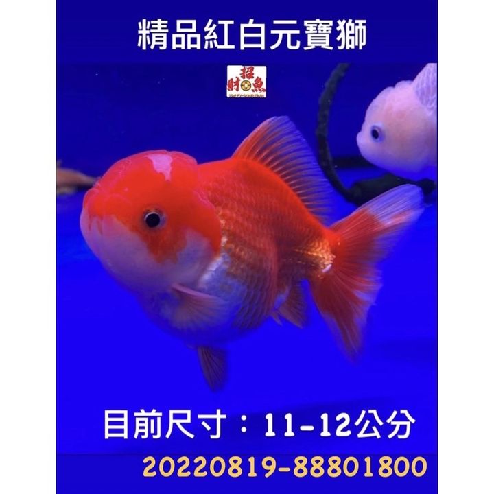 f30feac395aebf0971461f326b776a8b