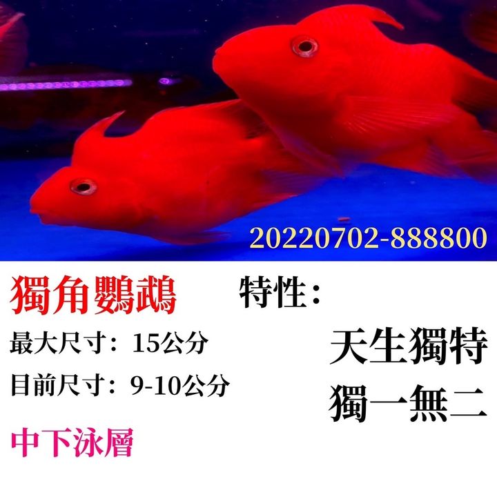 74d14bed01fe10c4abf266e59e03683a
